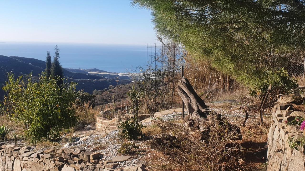 Finca Esperanza Costa Del Sol Sayalonga エクステリア 写真